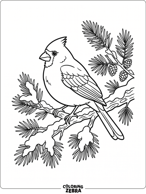 A cardinal sits on a snowy branch