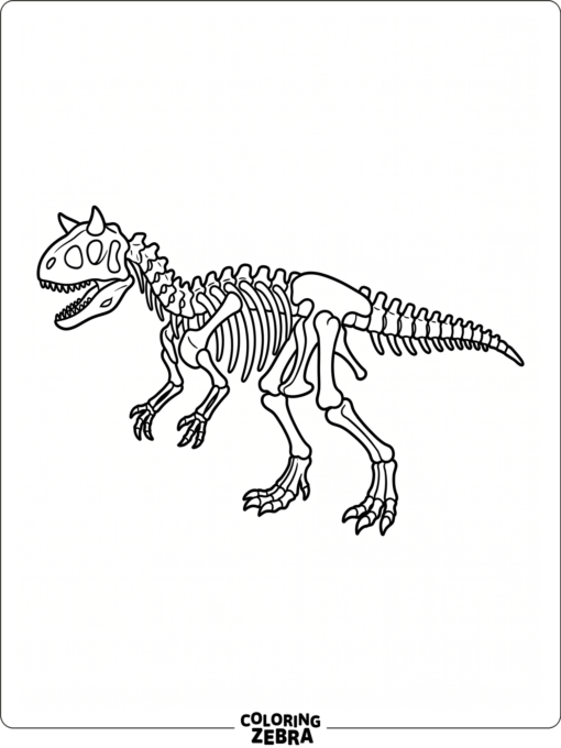 A carnotaurus skeleton laid out on a plain background