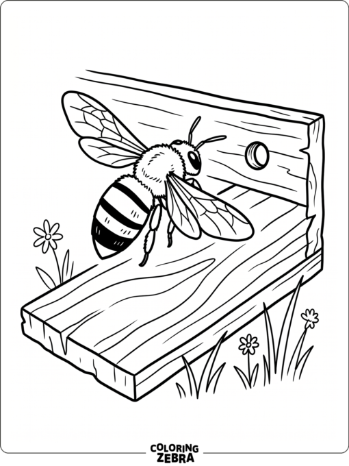 A carpenter bee near wood with a small hole