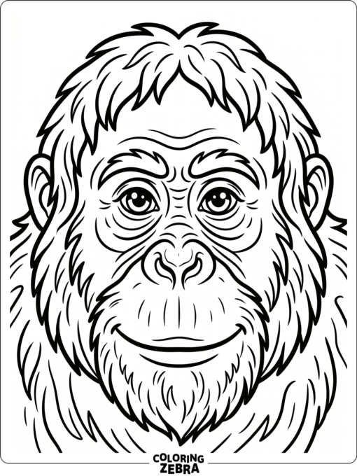 A close-up orangutan face with expressive eyes