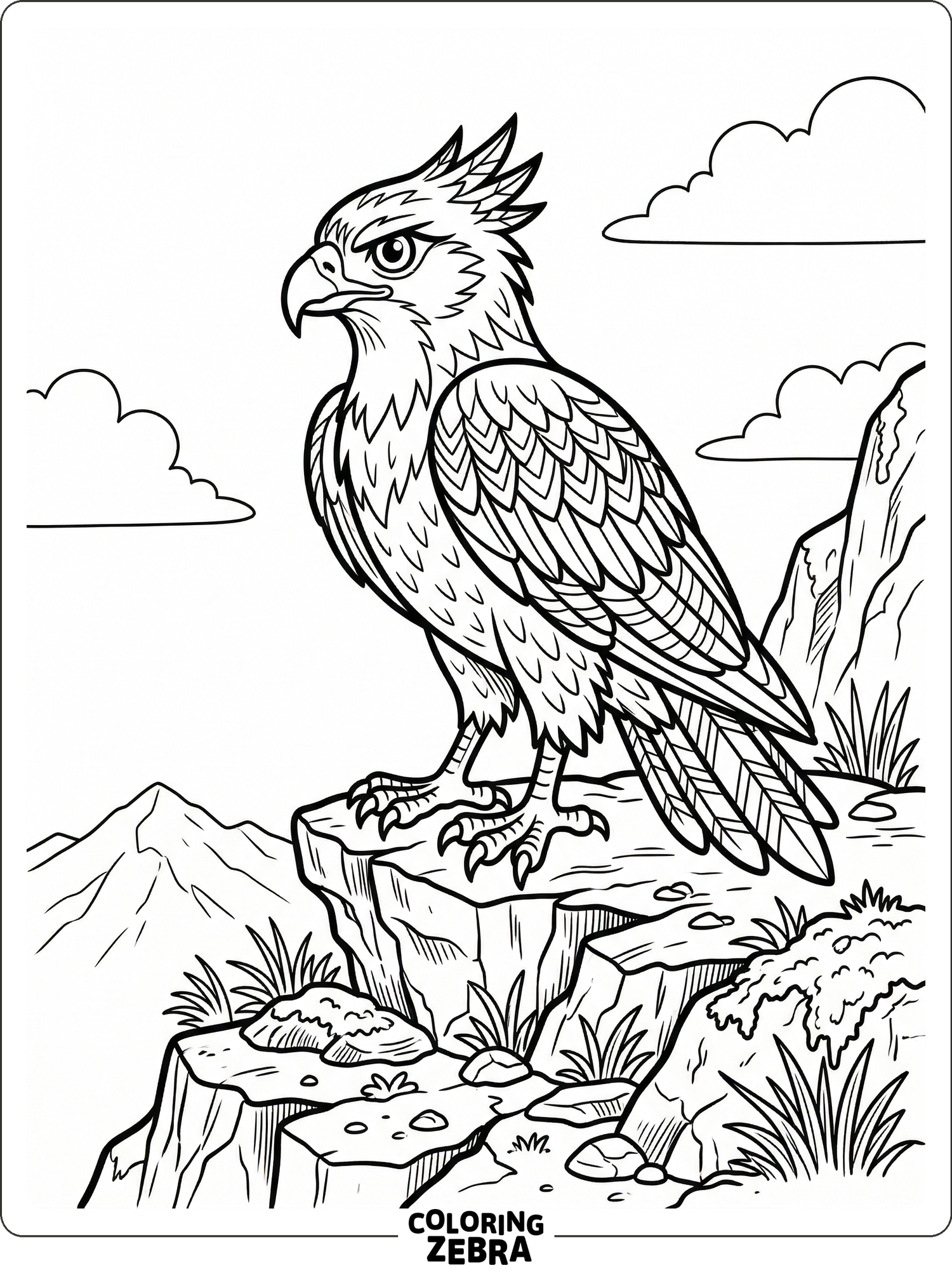 A hawk perched on a rock with layered feathers