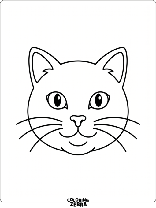 A close-up cat face with whiskers and a small nose