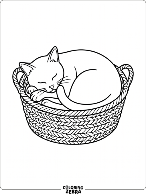 A cat curls up in a woven basket