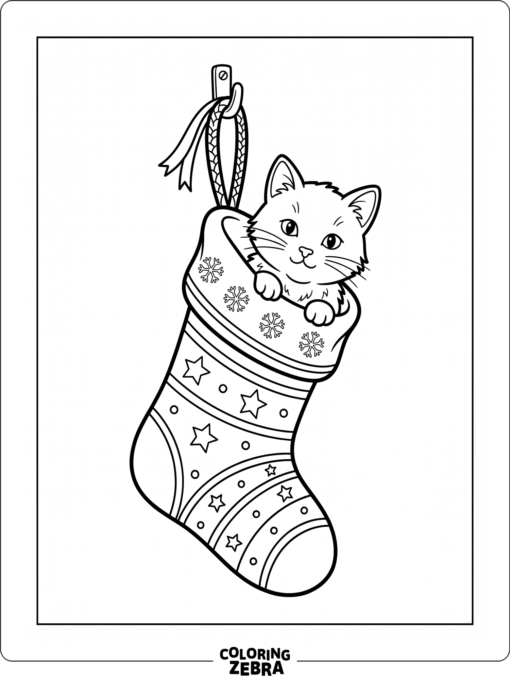 A cat peeks out of a stocking