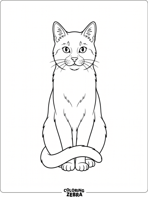 A cat sitting upright with its tail around its paws