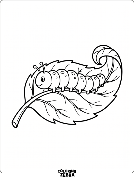 A caterpillar lying on a leaf with a curled tip