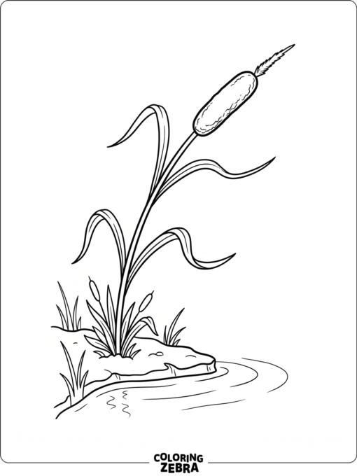 Cattail perches beside a pond on a curved stem