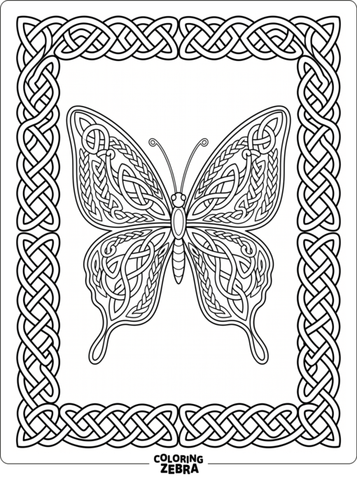 A butterfly with Celtic knot borders