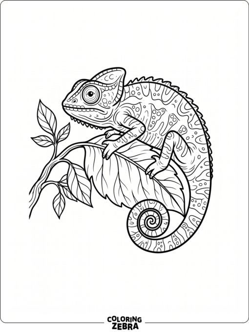 A simple chameleon on a leaf
