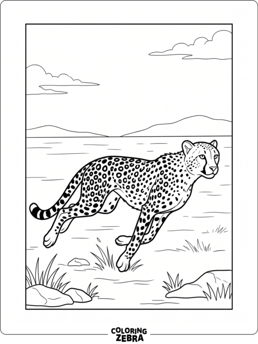 A cheetah running across open ground
