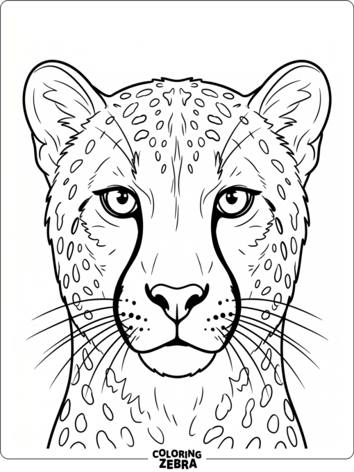 A close-up cheetah portrait with alert eyes