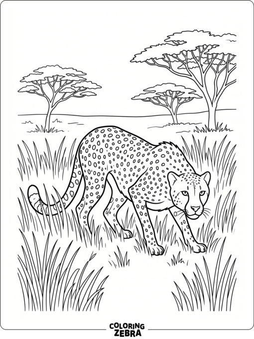 A cheetah crouching in grass near a few simple trees