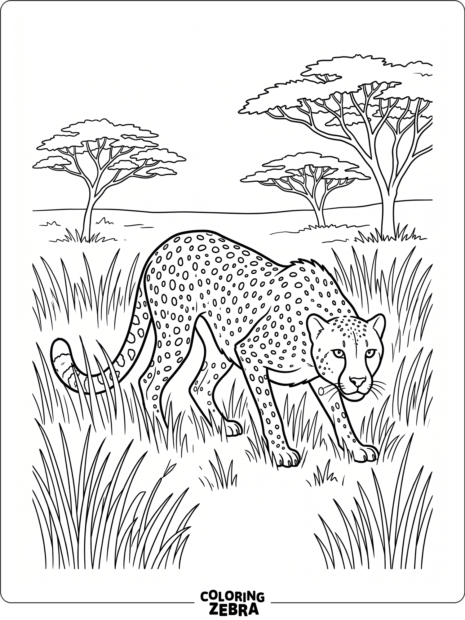 A cheetah crouching in grass near a few simple trees