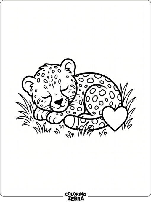 A cheetah cub curled up with a heart