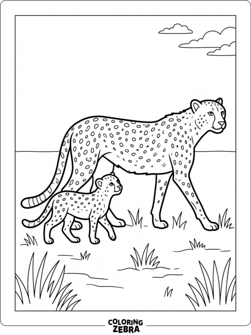 A cheetah mother and cub walking together