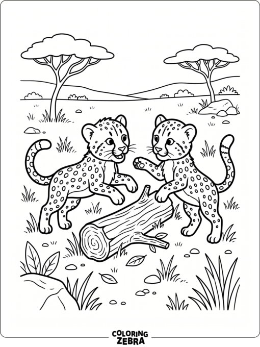Two cheetah cubs playing by a log