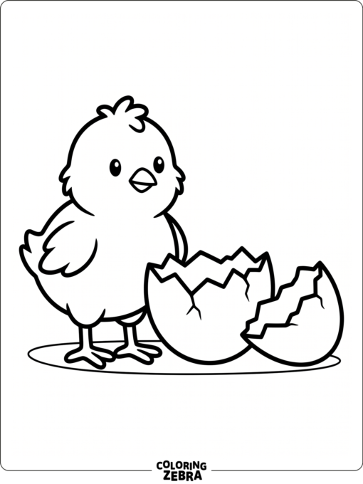 A chick standing next to a cracked eggshell
