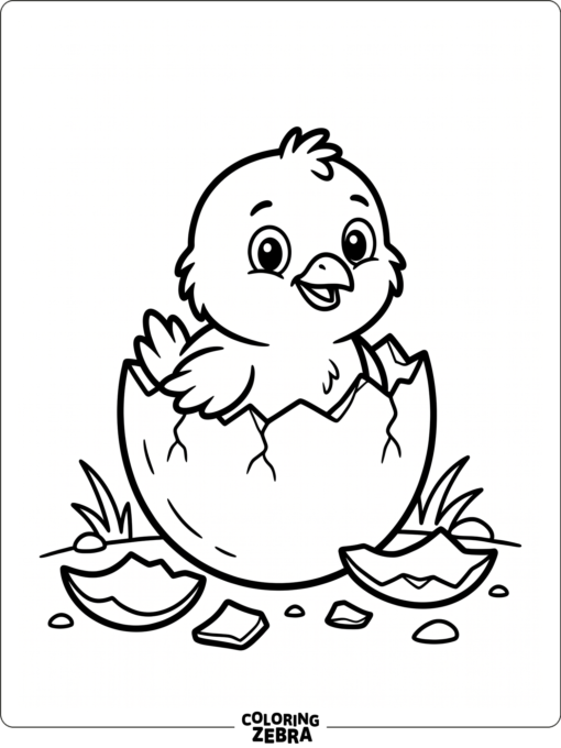 A chick hatching beside broken shell pieces