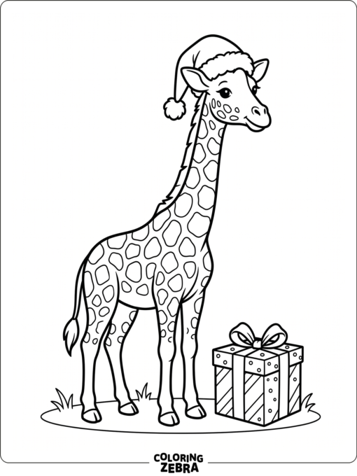 A giraffe in a Santa hat with a gift