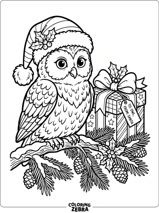 An owl in a Santa hat next to a gift