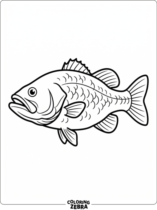 A plain bass fish outline with no scene