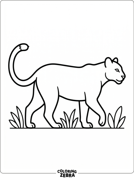 A clean cougar silhouette with grass below