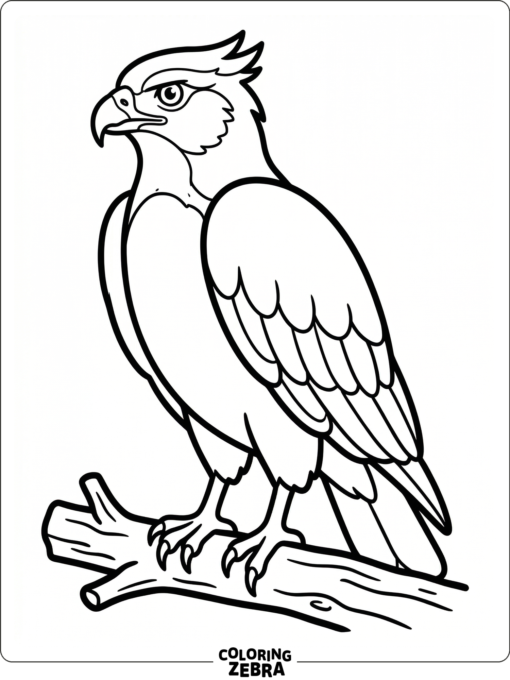A simple hawk outline with folded wings
