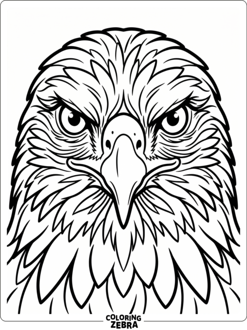 A close view of a hawk face