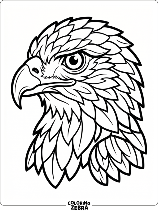 A close-up hawk head with a sharp curved beak