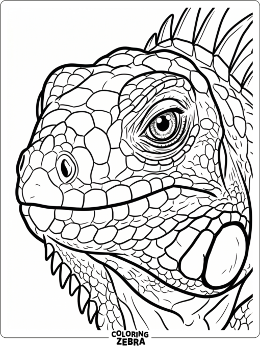 A close-up of an iguana face with detailed eyes