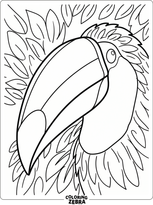 A close-up of a toucan beak with feather lines