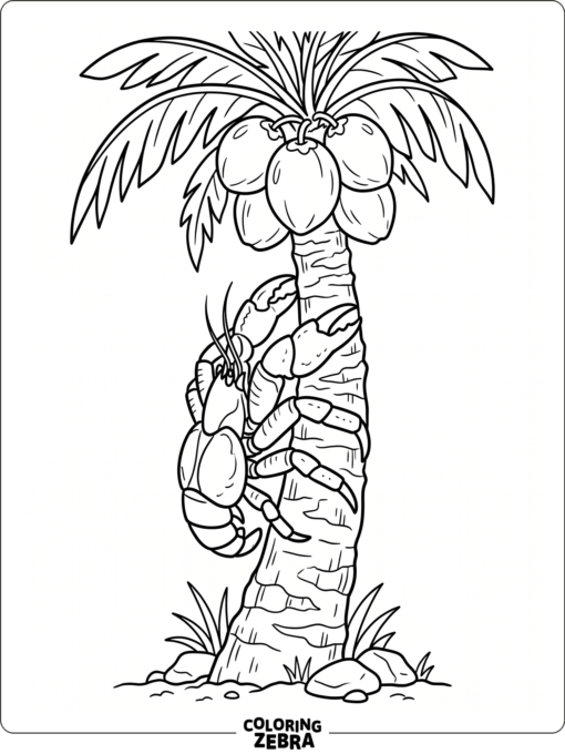 A coconut crab climbing a palm tree trunk