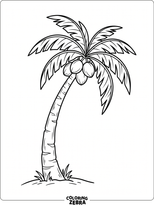 A coconut tree with a curved trunk and coconuts