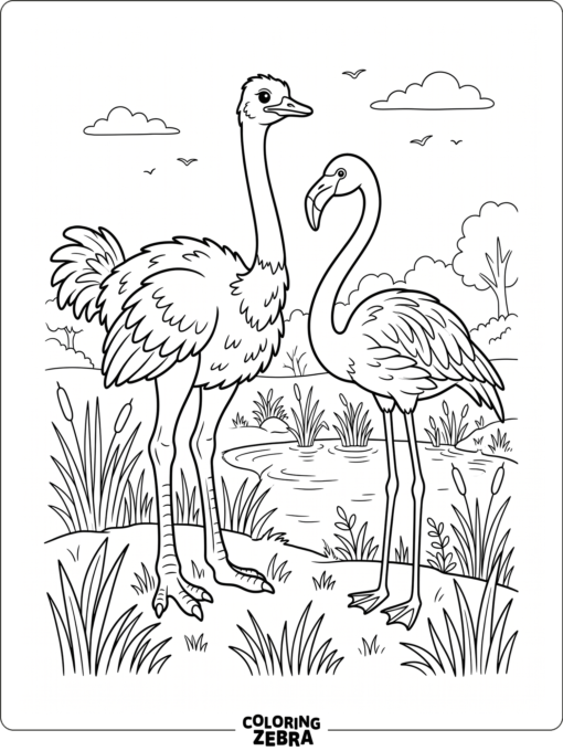 An ostrich and flamingo standing near a pond