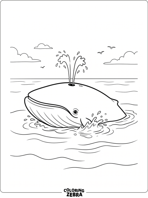 A blue whale rising beside a splash of water