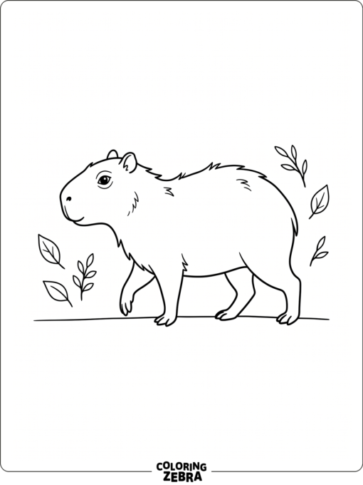 A capybara sketch outline with leaves on the ground