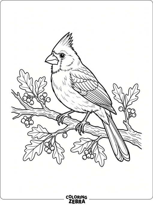 A cardinal perched on a branch