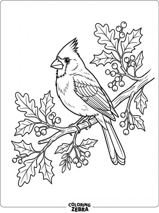 A cardinal bird perched on a branch