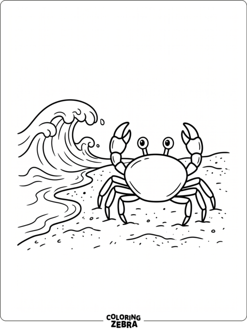 A simple crab on sand near a wave