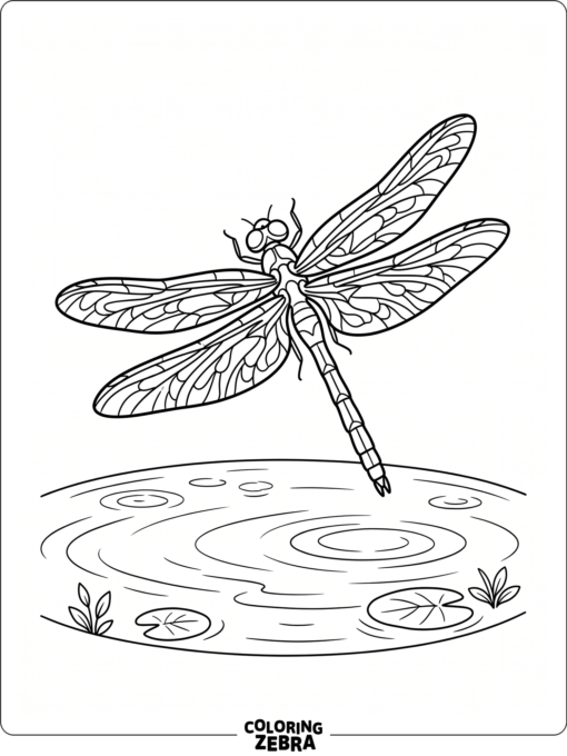 A dragonfly with long wings over a pond