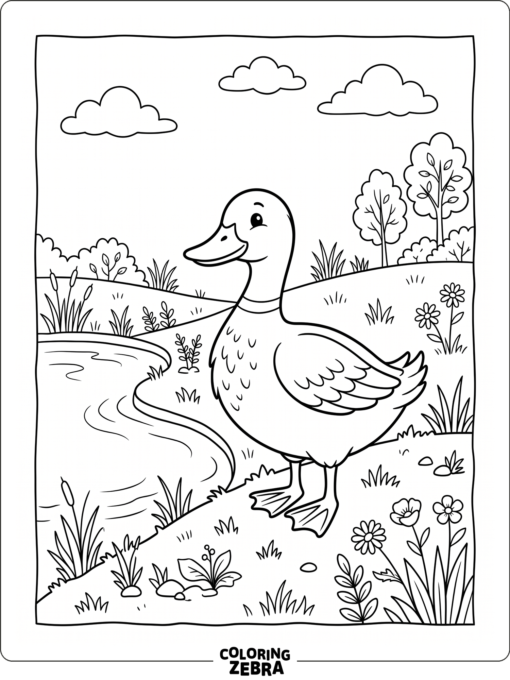 A duck standing beside a pond