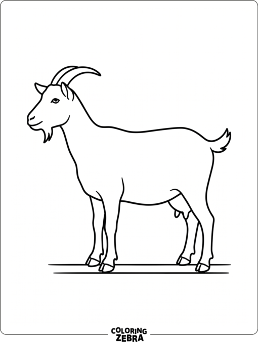 A simple side view of a goat