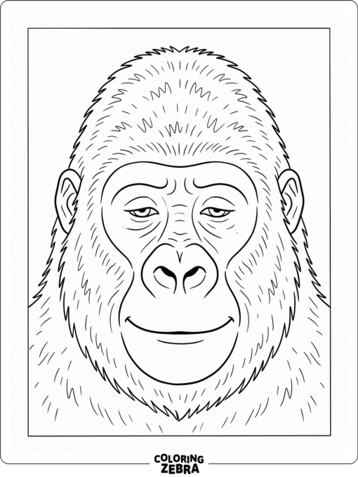 A calm gorilla face with simple fur texture
