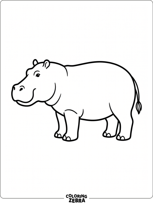 A hippo standing in profile with a rounded snout