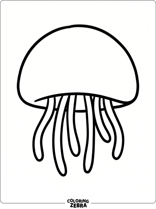 A basic jellyfish with a rounded bell and short tentacles