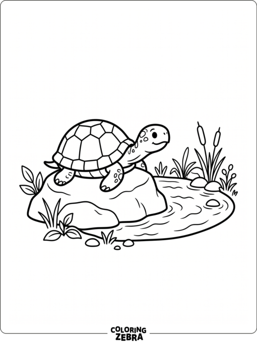 A turtle resting on a rock near a pond