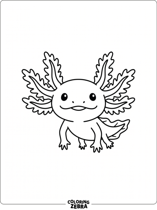 A simple axolotl portrait with frilly gills