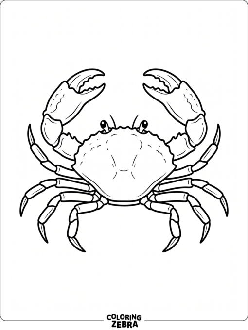 A single crab with spread claws and a simple outline