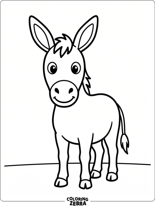 A front-facing donkey on a plain ground line