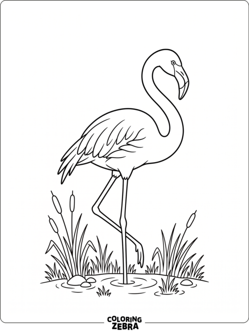 A flamingo standing in the grass